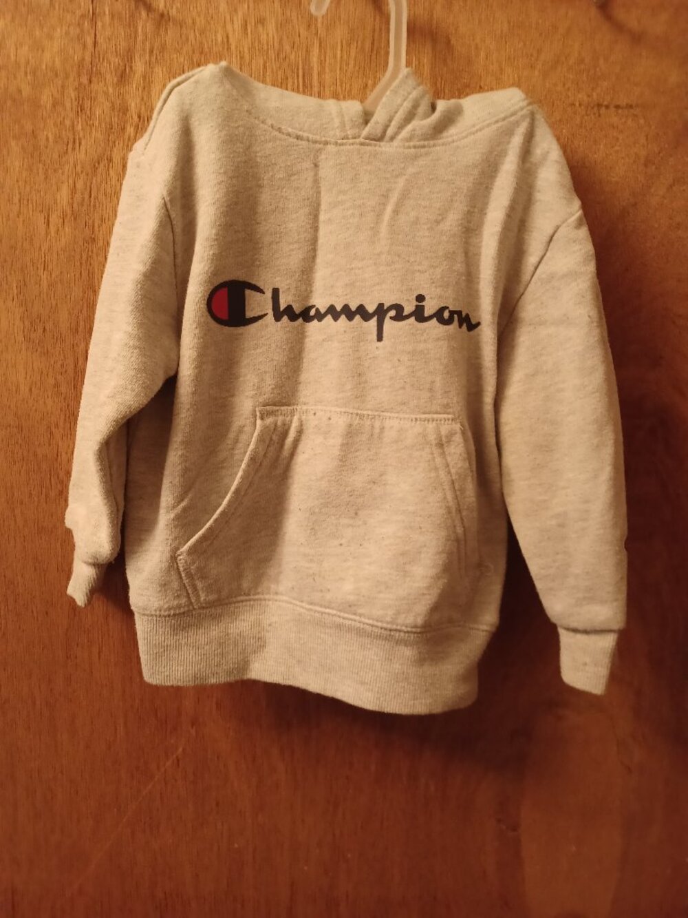 Kids Champion Sweater Hoodie